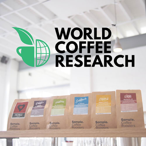 World Coffee Research: because we couldn't imagine a future without coffee