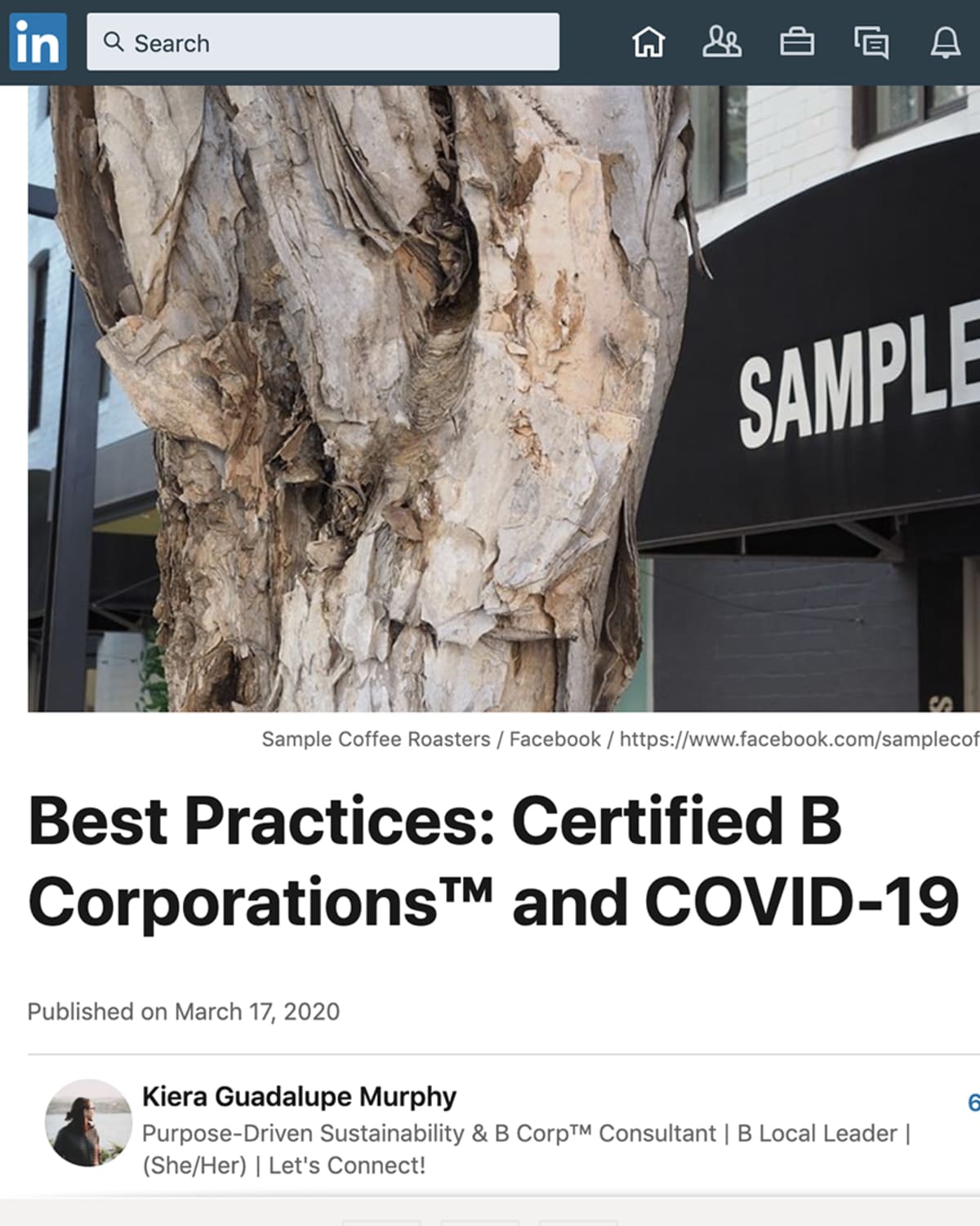 Coronavirus B Corporation Article Cover