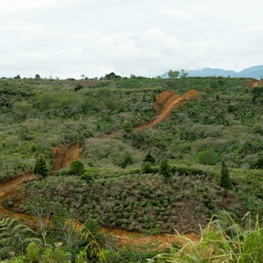 Photo for Asman Gayo Mill
