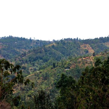 Photo for Kiandu
