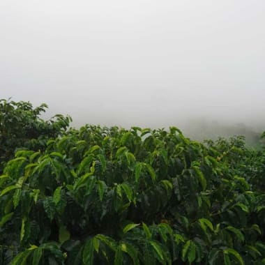 Photo for Finca La Colina
