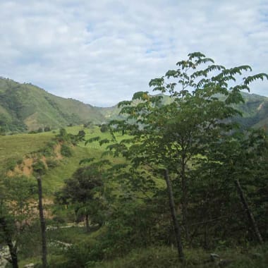 Photo for El Meridiano