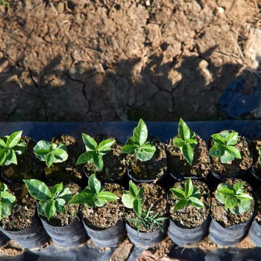 Photo for Finca La Bastilla