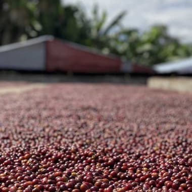 Photo for Finca Santuario