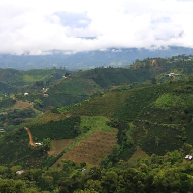 Photo for La Serrania Decaf