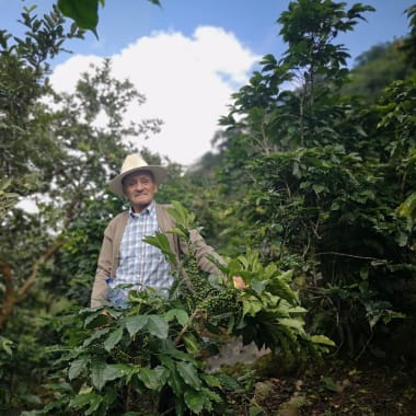 Photo for Francisco Martínez