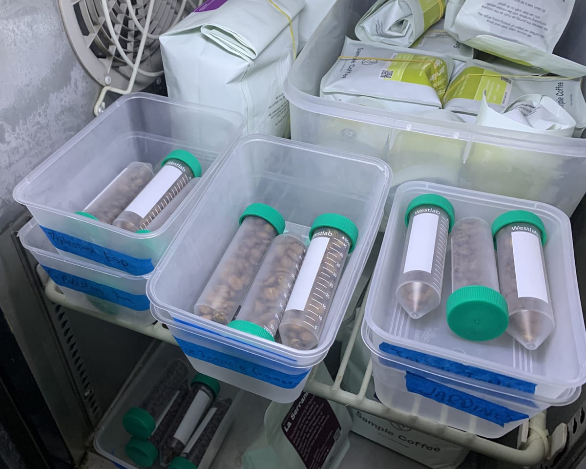 The freezer at Sample Coffee Pro Shop