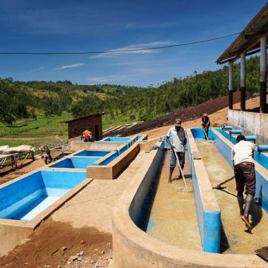 Photo for Shembati Washing Station