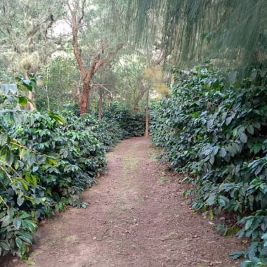 Photo for Terrazas Del Pisque