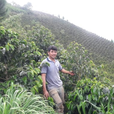 Photo for Finca El Pino